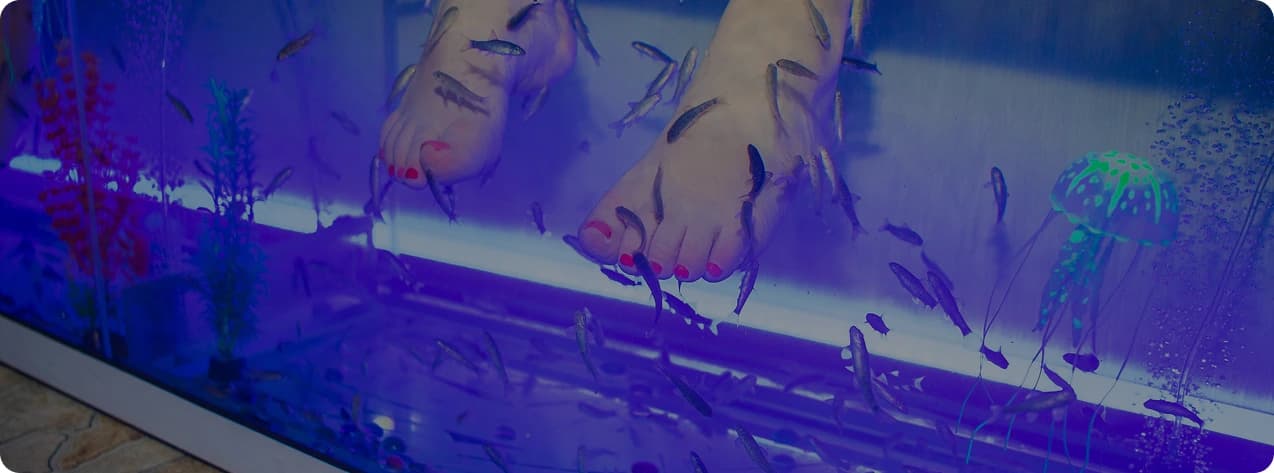 Пилинг рыбками Garra Rufa от Magic Fish